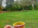 Brew in peace
