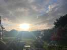 Sunny evening