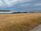 Coastal walk