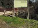 Ruta