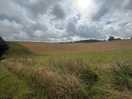 Local landscape
