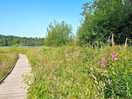 Walk