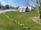 Large spacious pitches