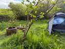Campsite
