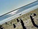 Beach time