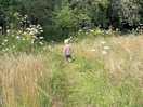 Wandering the meadow pathways