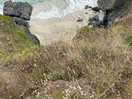 Lizard peninsula walks