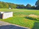 Main field