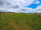 Dog paddock.