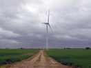 Dog walk to wind turbines