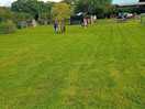 Lovely well kept grass