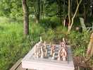 Homemade chess set