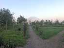 Walking near the campsite