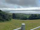 Views of the sea