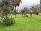 Lovely tropical garden
