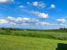 Countryside