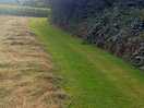The beautifully mown walks around the farm.