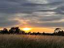 Beautiful sunset