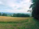 Cut grass