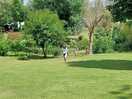 Well kept lawns.