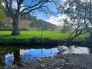 Beautiful stream running through camp.