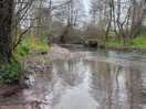 River on nature trail
