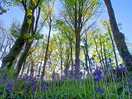 Views along the bridal path down to amroth