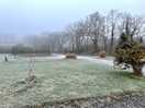 Frosty in january 2025