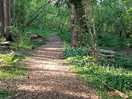 Walks through the woods from walled garden, all part of the site.