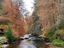 Stream