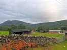 Farm walk