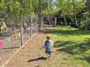 Finding the piglets