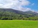 View from our pitch.