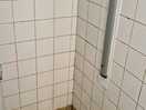 Mouldy shower. poor water pressure and had to hold in button to use