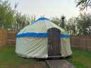 Buzzard yurt
