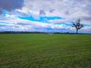 Field