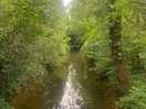 Clare castle country park