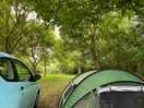 Cosy opportunities for a camp set up