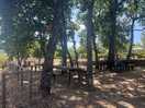 Camp