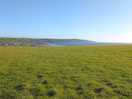 Quiet fields behind campsite