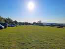 Site field