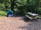 Woodland pitch