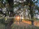A view from our campervan.
