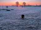 Sunrise frost