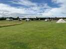 The site