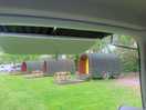 View of the guys from our van, these are lovely looking.