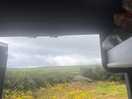 View from campervan