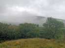 Views on the walks