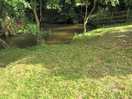 Stream
