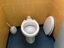 Basic toilet, no seat o toilet tissue